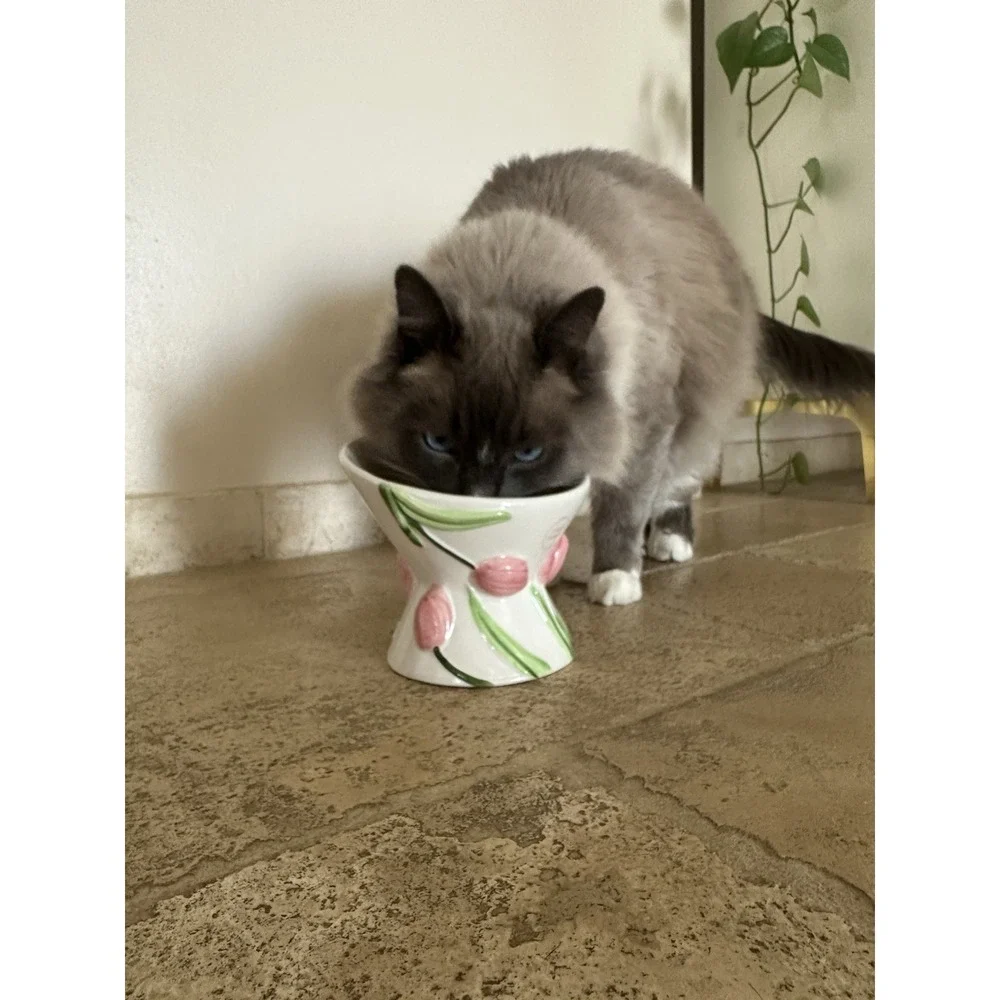 Mellow & Mod Cat Drinking Water Tall Bowl 